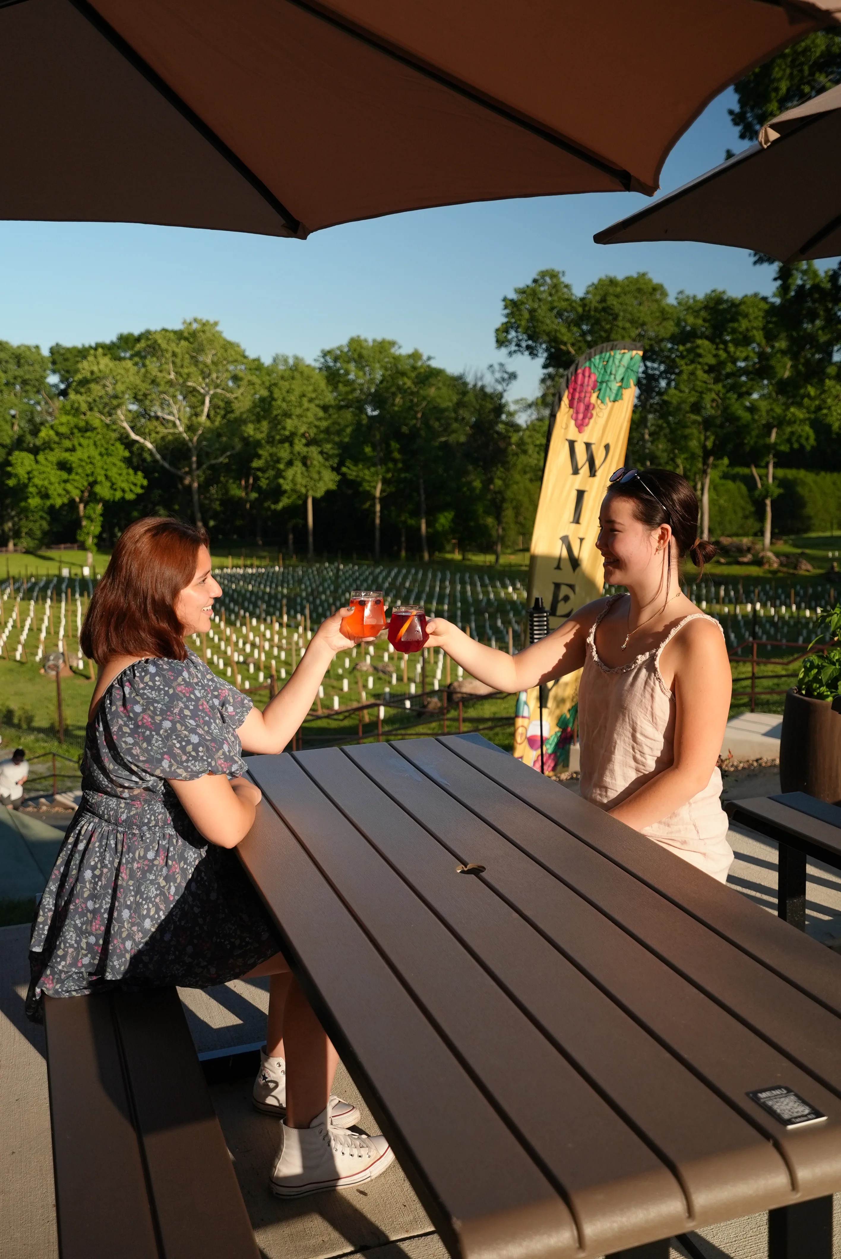 Friends toasting wine glasses by the Whites Ferry estate vineyard at golden hour